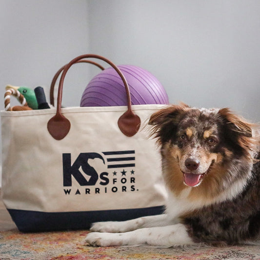 K9s Navy Canvas Tote