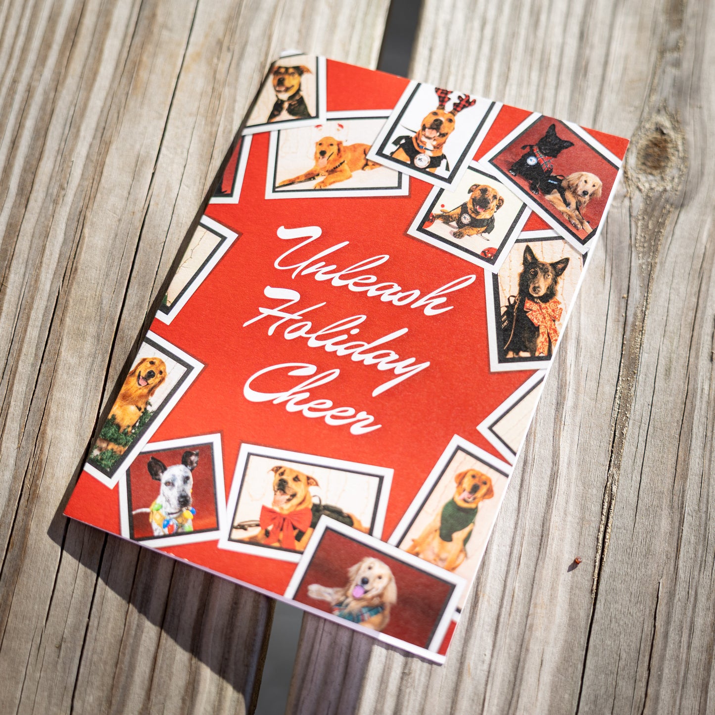 K9s Holiday Card Packs