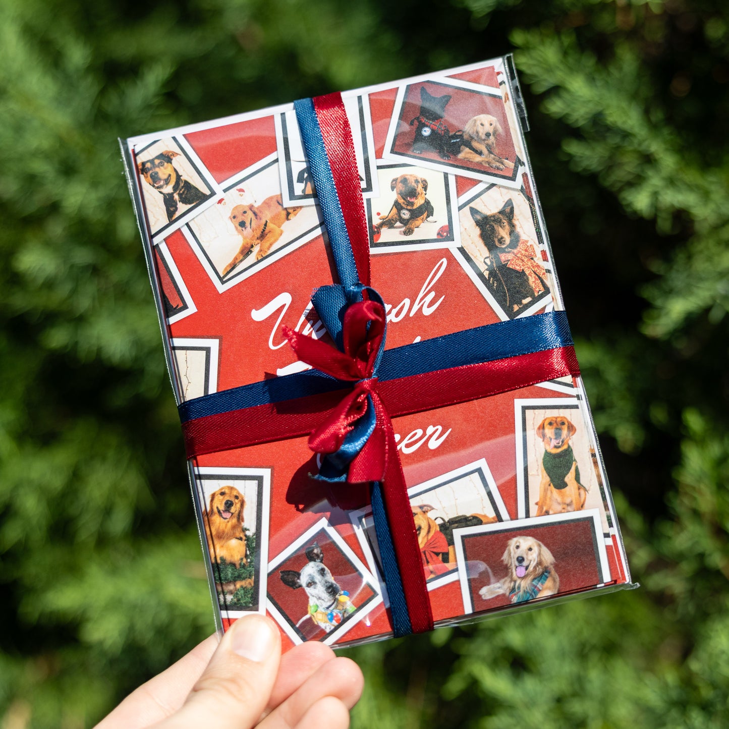 K9s Holiday Card Packs